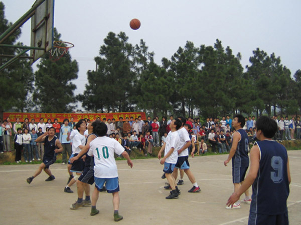 创“平安校园”系列活动综述