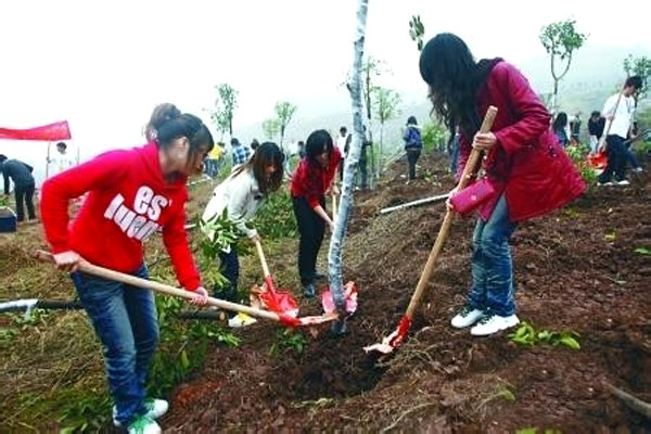 校园文化建设红红火火　班级集体活动多姿多彩