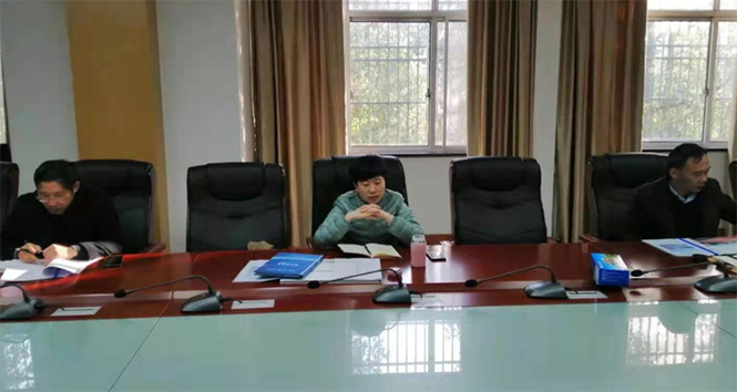 奥亚教育集团同怀宁县政府举行产教园项目洽谈会