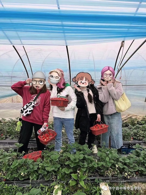 春风十里 芳华如你——怀宁县中等专业学校开展踏春摘草莓喜迎“三八”妇女节活动