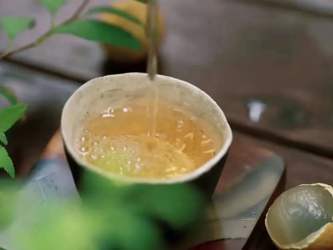 今日白露 | 露从今夜白，秋风至此凉