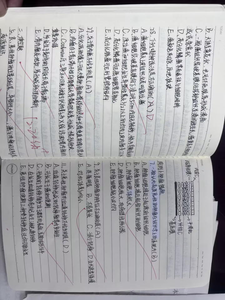 以检提优 以查促教——怀宁县中等专业学校常规业务检查活动简报