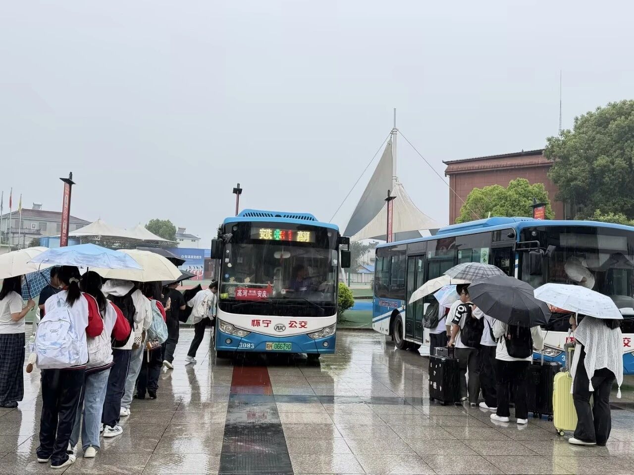一条专线，联结家校信任与教育温度
